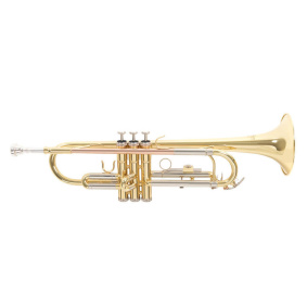 Roy Benson TR-202 Τρομπέτα Bb-2-min