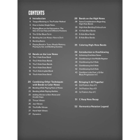 Hal Leonard Blues Harmonica Bending & Beyond-2-min
